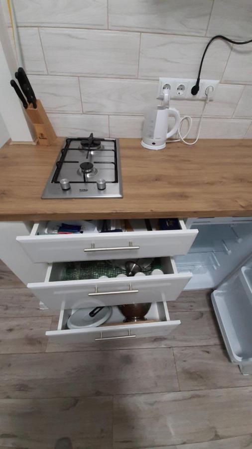Transfer Apartament І.Franka 59 Lviv Kültér fotó
